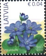 Timbre: Hepatica nobilis - h&eacute;patique - mill&eacute;sime 2019