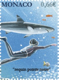 Timbre: Requin pointe noire