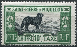 Timbre: Chien de Terre-Neuve