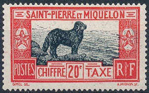 Timbre: Chien de Terre-Neuve