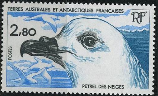 Timbre: P&eacute;trel des neiges