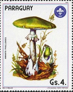 Timbre: Amanite phallo&iuml;de (Amanita phalloides)