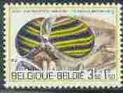 Timbre: Insecte