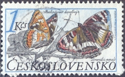 Timbre: Limenitis populi