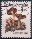 Timbre: Cortinaritus orellanus