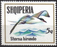 Timbre: Oiseaux de mer