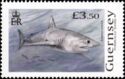 Timbre: Porbeagle Shark (Lamna nasus)