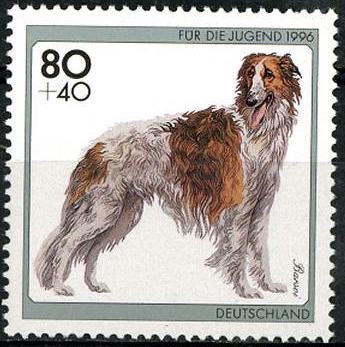 Timbre: Barzoi