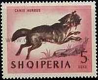 Timbre: Chacal dor&eacute;