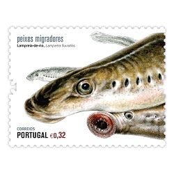 Timbre: Poissons migrateurs - La lamproie