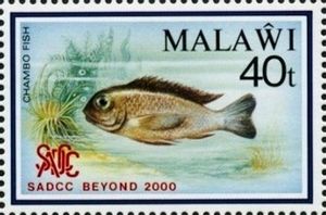 Timbre: Poisson : Oreochromis lidole