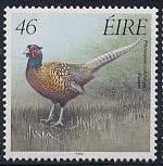 Timbre: Faisan de Colchide - Phasianus colchicus