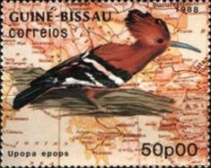 Timbre: Upupa epops