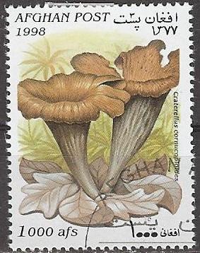 Timbre: Champignon - Craterellus cornucopioides
