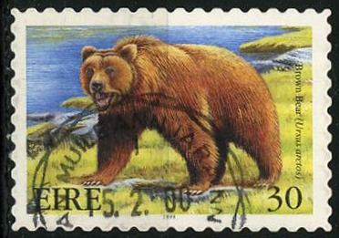 Timbre: Ours brun (adhesif)
