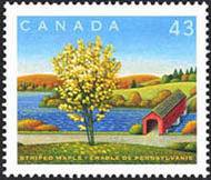 Timbre: &Eacute;rable de Pennsylvanie