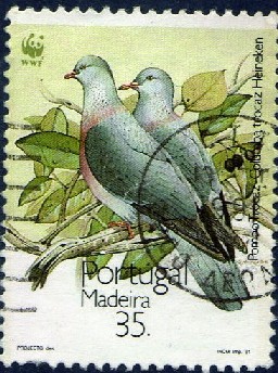 Timbre: Pigeon trocaz - Protection