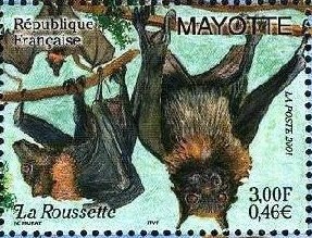 Timbre: La roussette