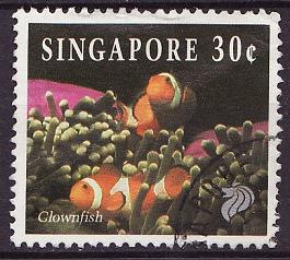 Timbre: AMPHIPRION