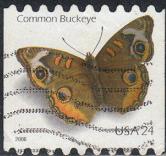 Timbre: Papillon, Common Buckeye