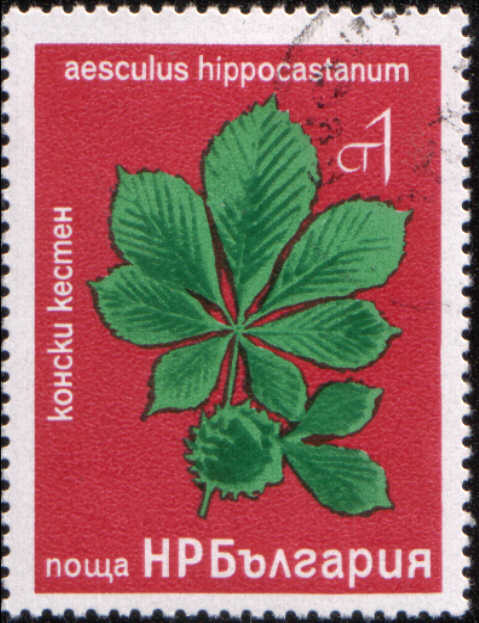 Timbre: Aesculus hippocastanum