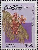 Timbre: Royal Poinciana 