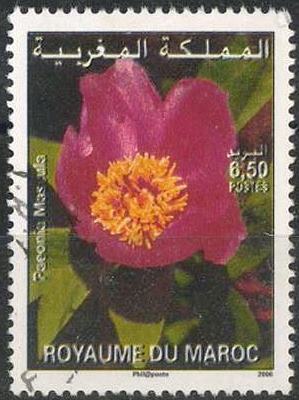 Timbre: Pivoine