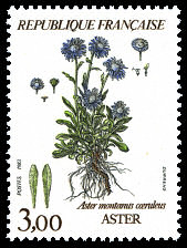 Timbre: Aster 