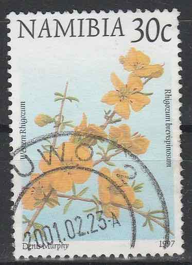 Timbre: S&eacute;rie faune et flore, rhigozum brevispinosum