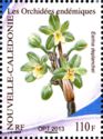 Timbre: Orchid&eacute;e end&eacute;mique: 'earina deplanchei'