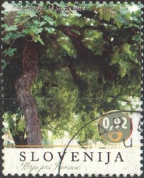 Timbre: Vinification en Slov&eacute;nie 