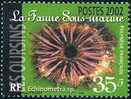Timbre: Echinometra