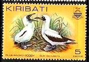 Timbre: Fou &agrave; face bleue (Sula dactylatra)