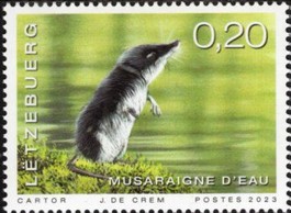 Timbre: Musaraigne d'eau