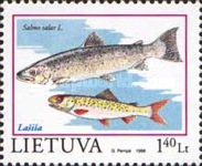 Timbre: Salmo salar ' saumon
