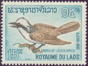 Timbre: Garrulay &agrave; huppe blanche