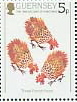 Timbre: 3 poules fran&ccedil;aises