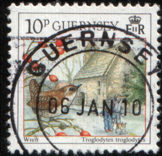 Timbre: troglodyte mignon