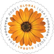 Timbre: African Daisy - Osteospermum