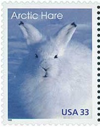Timbre: Artic animals : lièvre 