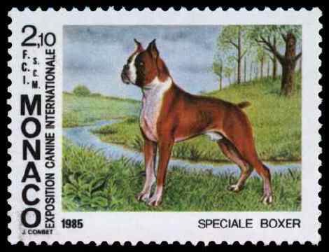 Timbre: Exposition canine internationale : Boxers