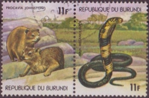 Timbre: Paire Animaux - Procavia Johnstoni - Naja