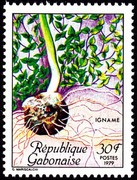 Timbre: Agriculture au Gabon - Igname