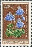 Timbre: Columbine (Aquilegia vulgaris transsylvan