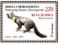 Timbre: European Pine Marten (Martes martes)