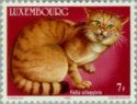 Timbre: Chat sauvage