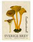 Timbre: Chanterelle