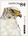 Timbre: Rapace : Aigle des montagnes