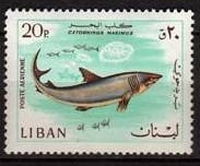 Timbre: Poisson : C&eacute;thorinus maximus