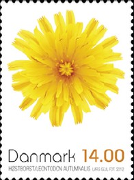 Timbre: Liondent d'automne